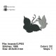 Insects13