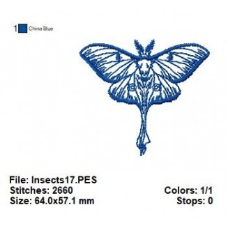 Insects17