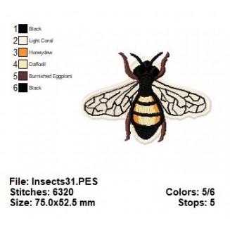 Insects31