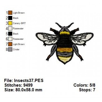 Insects37