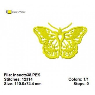 Insects38