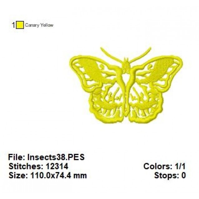 Insects38
