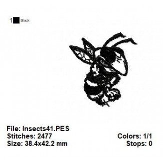 Insects41