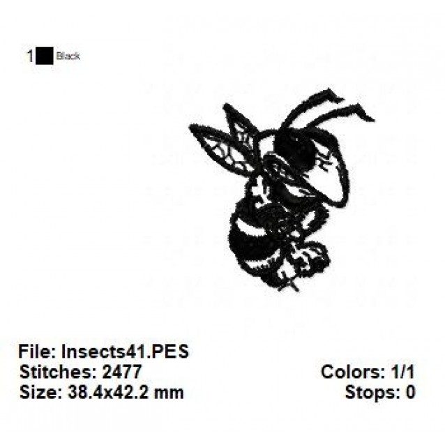 Insects41
