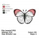 Insects7
